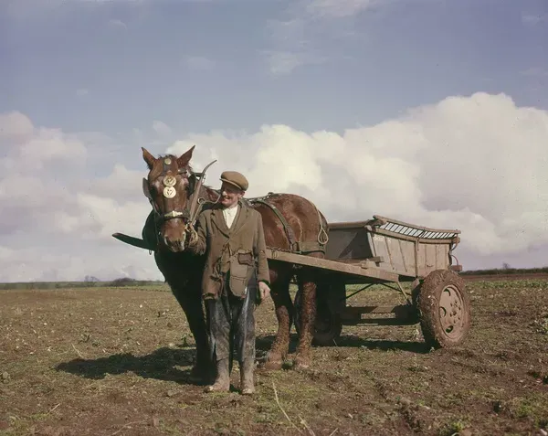 Farmer with horse and cart