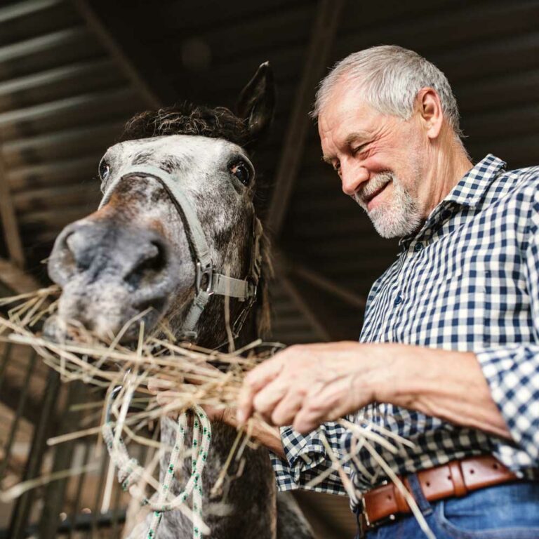 Farmer feeding horse hay